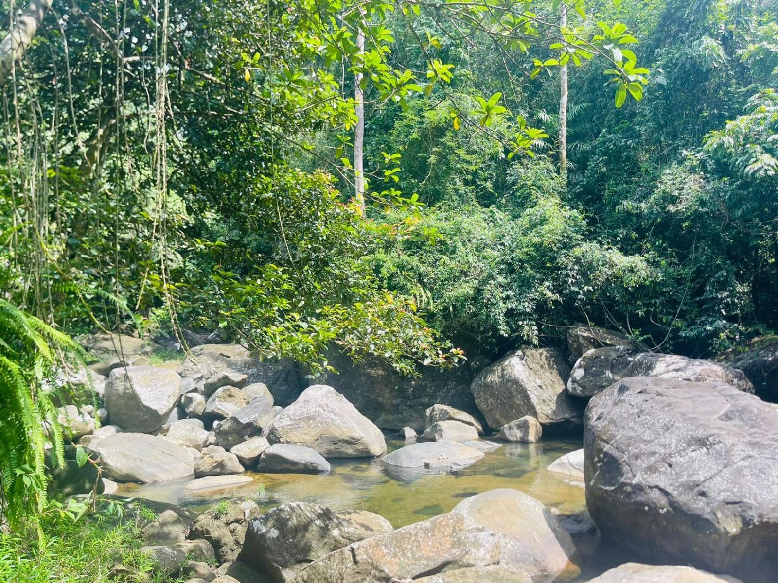 Palabaddala Tea And Eco Lodge Ratnapura Exterior photo